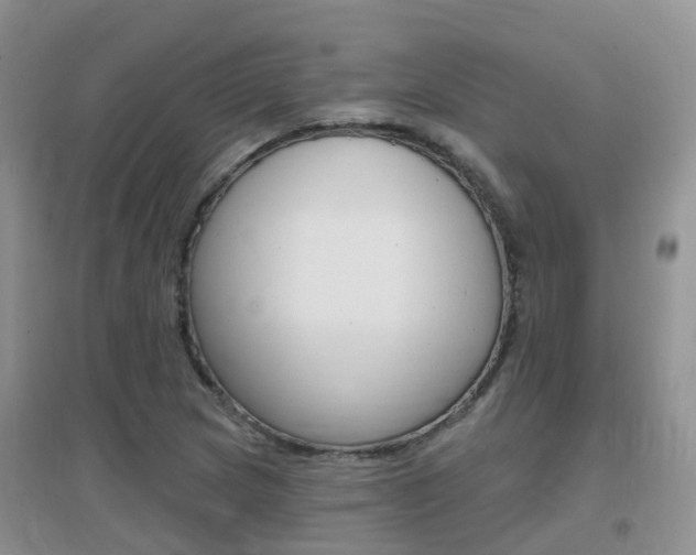 X0000096951217200802080913