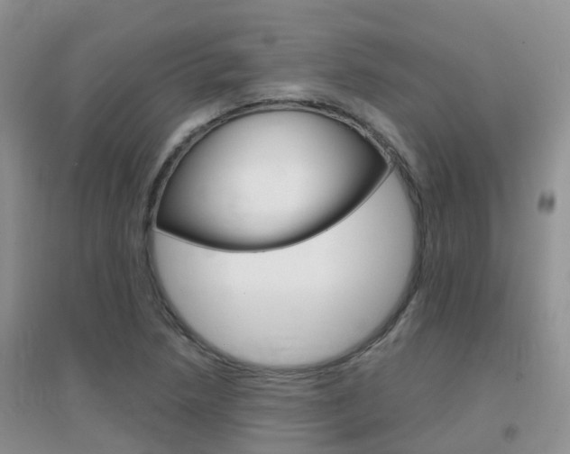 X0000096951218200802080913
