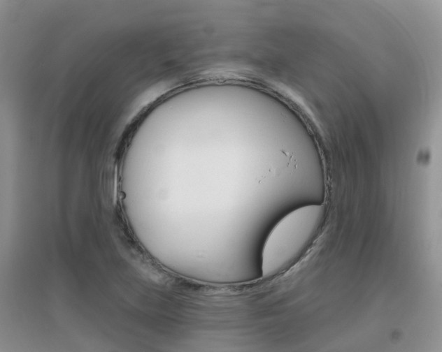 X0000096951219200802080913