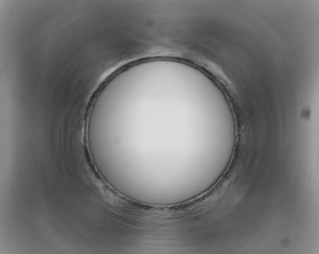 X0000096951220200802080913