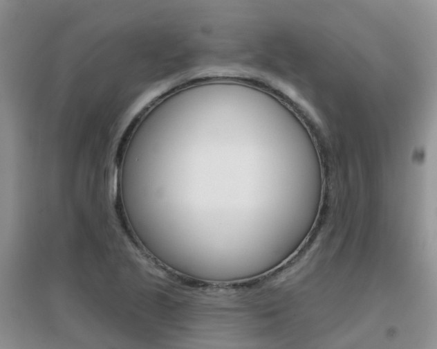 X0000096951221200802080913