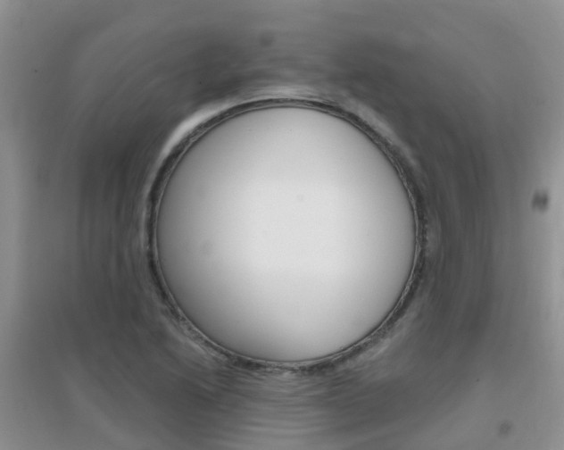 X0000096951222200802080913