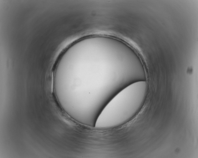 X0000096951223200802080913
