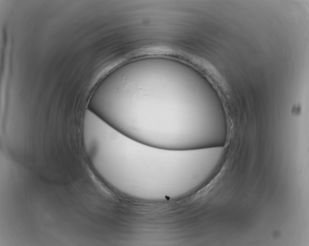 X0000096951225200802080913