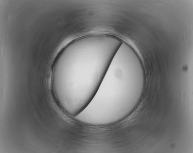 X0000096951227200802080913