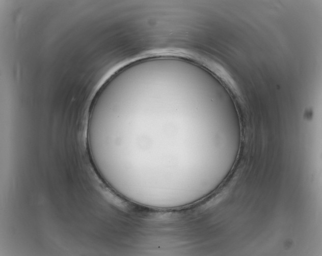 X0000096951228200802080913