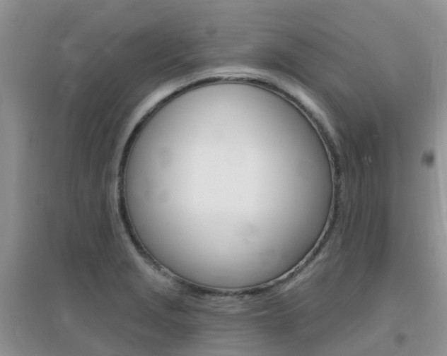 X0000096951229200802080913