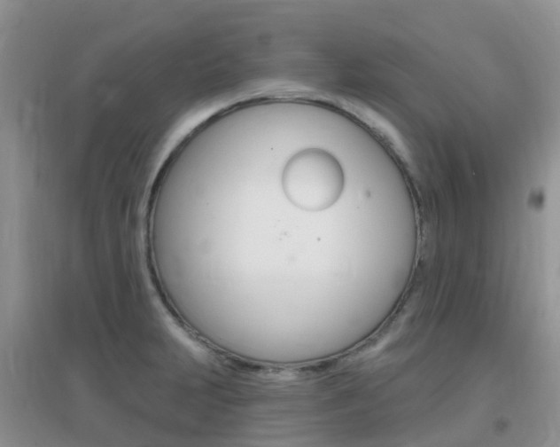 X0000096951231200802080913