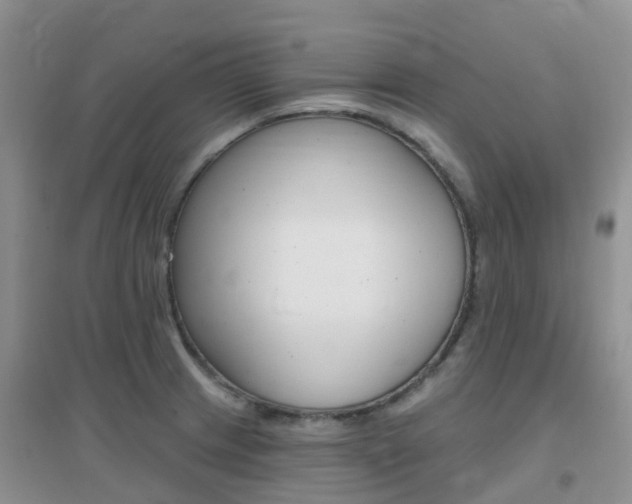 X0000096951233200802080913