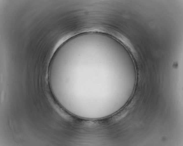 X0000096951234200802080913