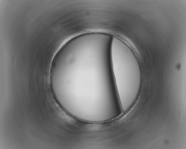 X0000096951236200802080913