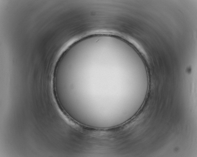 X0000096951237200802080913