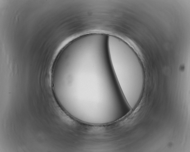 X0000096951238200802080913