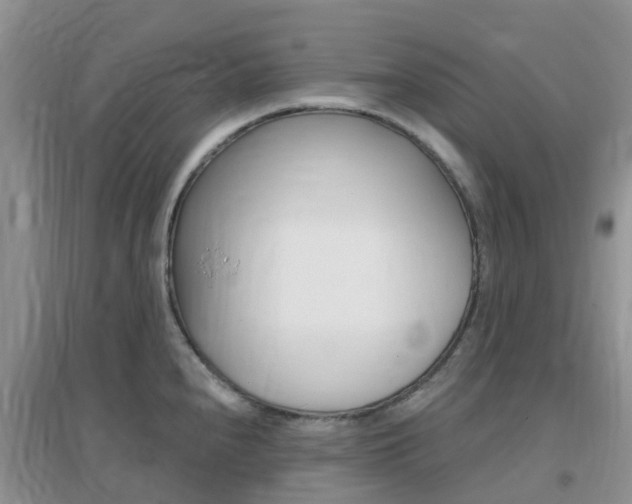 X0000096951240200802080913