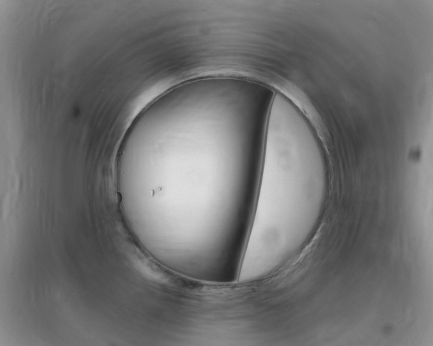 X0000096951242200802080913