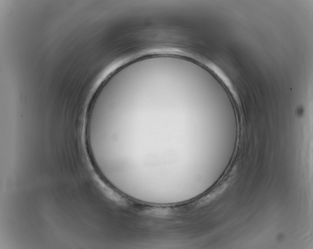 X0000096951245200802080913