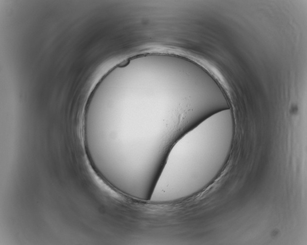 X0000096951247200802080913