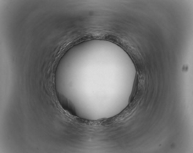 X0000096951249200802080913