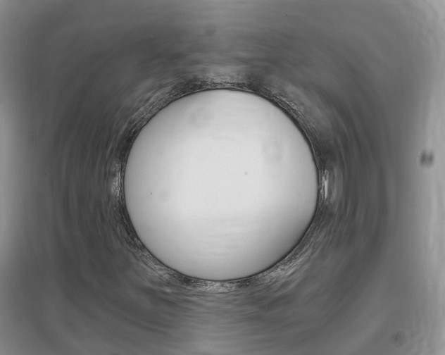 X0000096951251200802080913