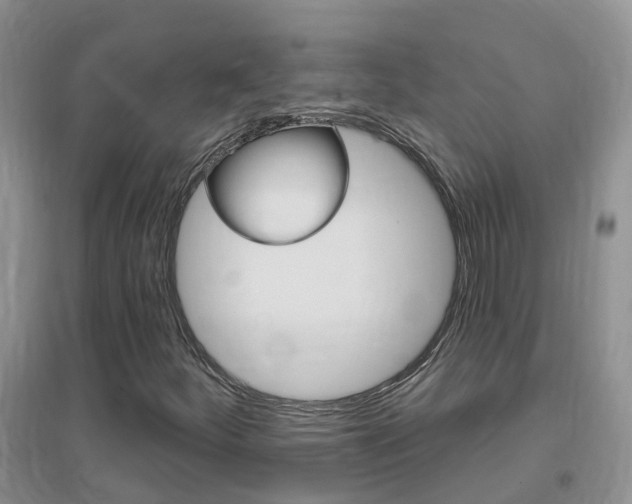 X0000096951252200802080913