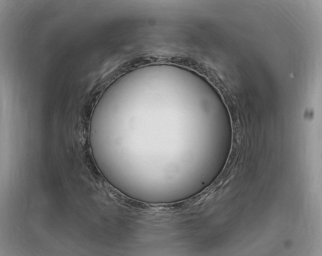 X0000096951253200802080913
