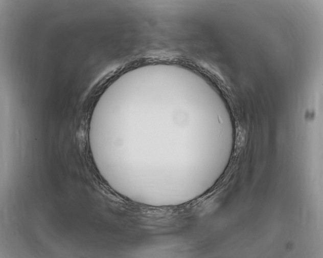 X0000096951254200802080913
