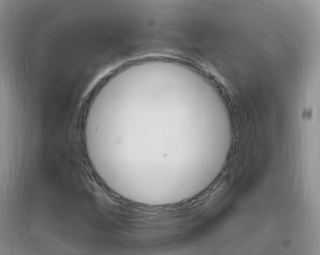 X0000096951256200802080913
