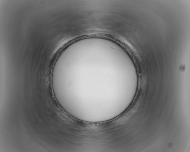 X0000096951259200802080913