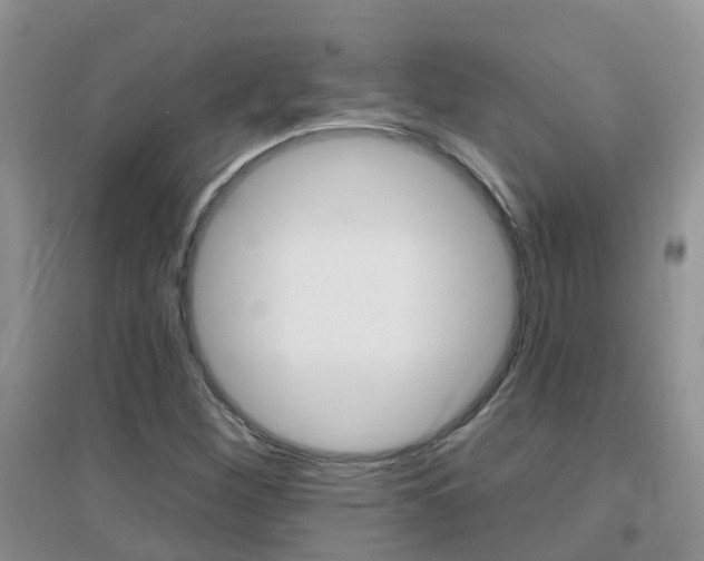 X0000096951260200802080913