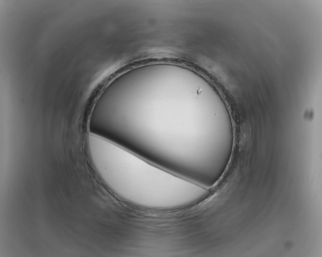 X0000096951261200802080913