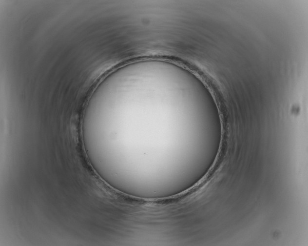 X0000096951265200802080913