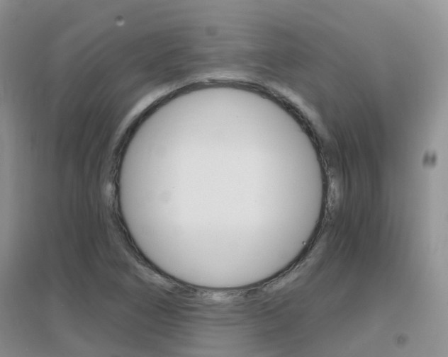 X0000096951266200802080913