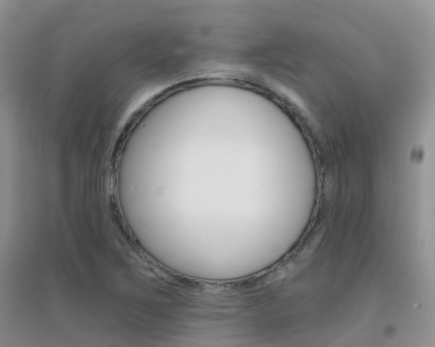 X0000096951267200802080913