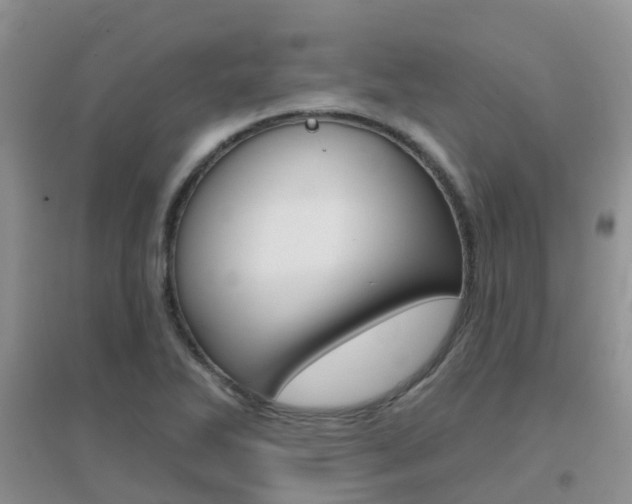 X0000096951270200802080913