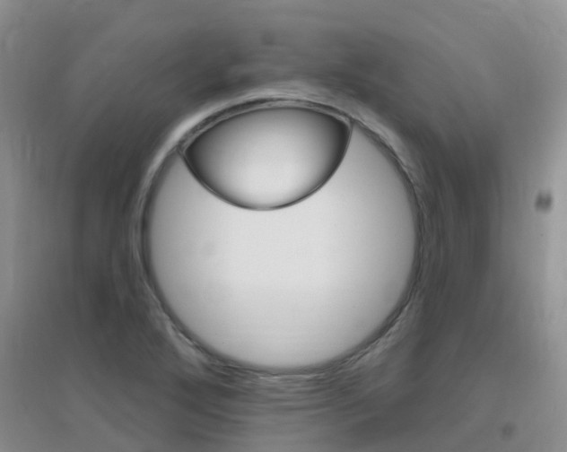 X0000096951272200802080913