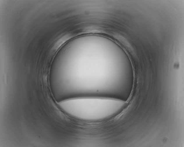X0000096951273200802080912