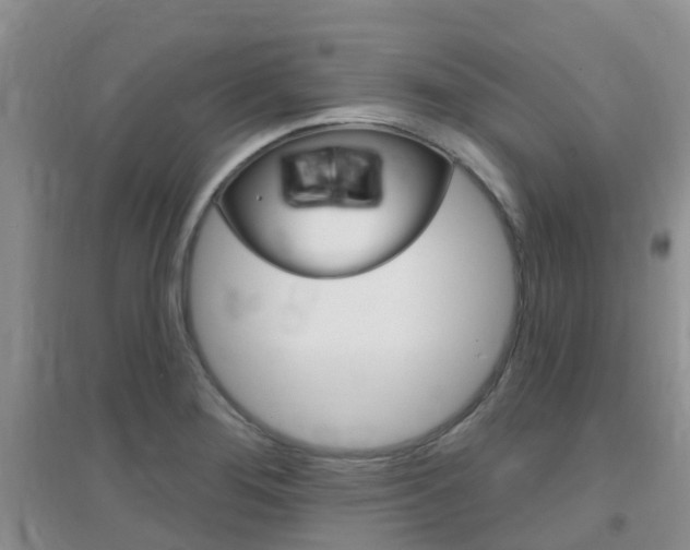 X0000096951276200802080912