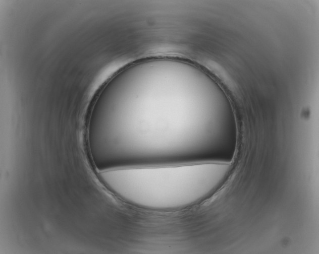 X0000096951277200802080912