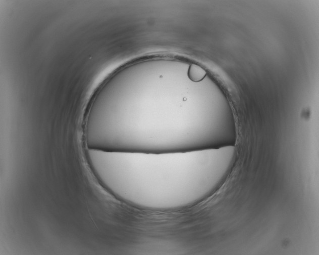 X0000096951279200802080912