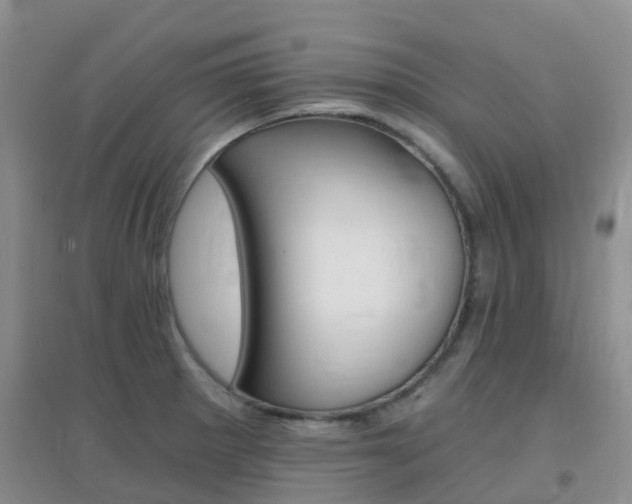 X0000096951281200802080912