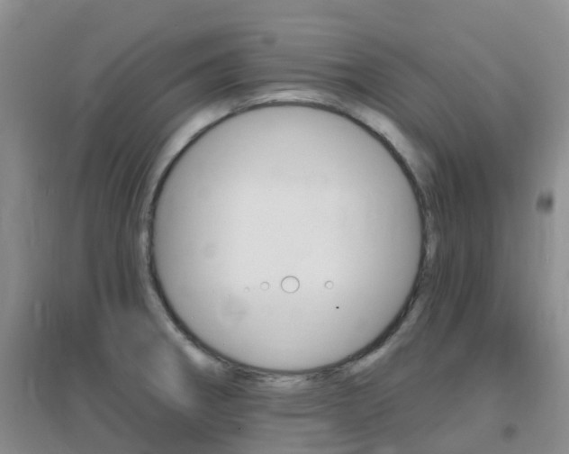 X0000096951282200802080912