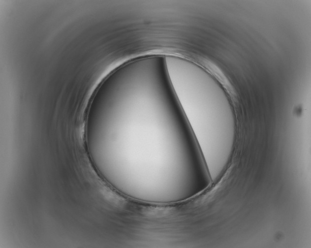 X0000096951284200802080912