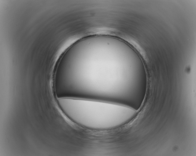 X0000096951285200802080912