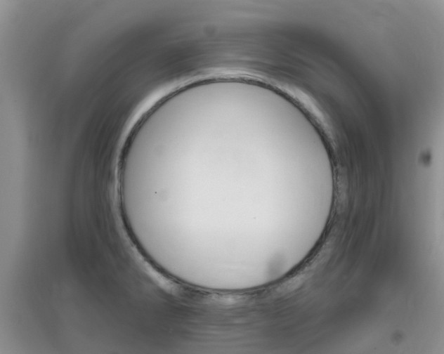 X0000096951286200802080912