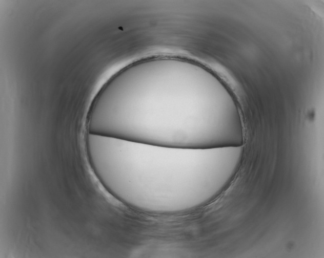 X0000096951287200802080912