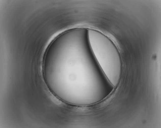 X0000096951288200802080912