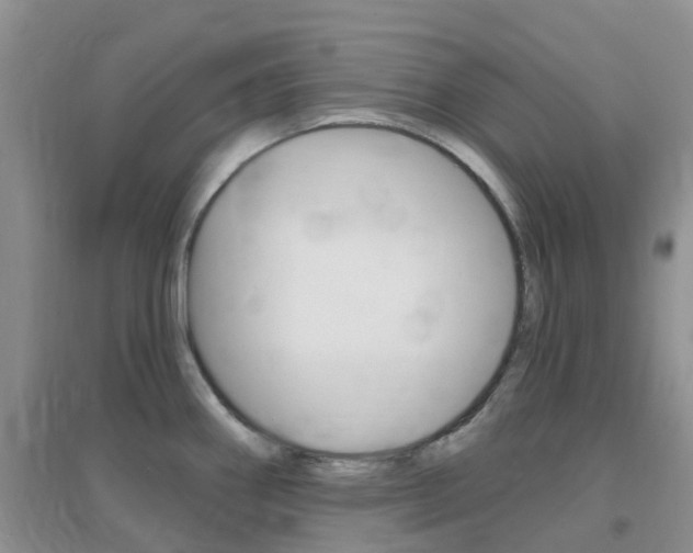 X0000096951290200802080912