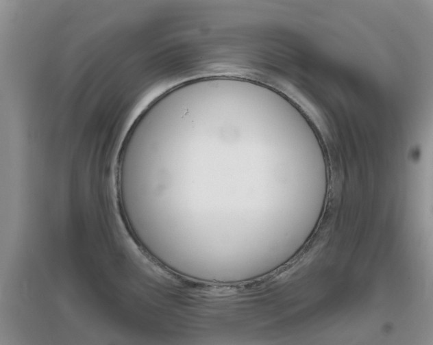 X0000096951291200802080912