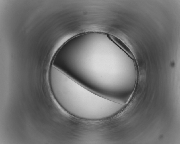 X0000096951293200802080912