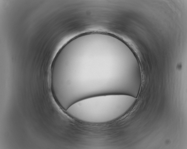 X0000096951295200802080912